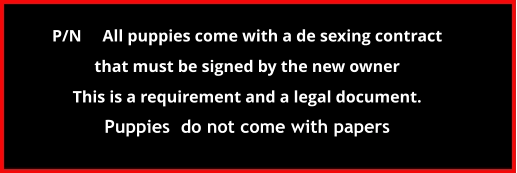 P/N     All puppies come with a de sexing contract  that must be signed by the new owner  This is a requirement and a legal document. Puppies  do not come with papers