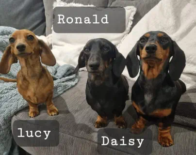 Ronald Lucy & Daisy