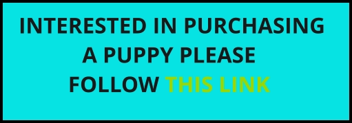 INTERESTED IN PURCHASING   A PUPPY PLEASE  FOLLOW THIS LINK