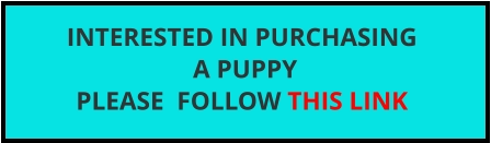 INTERESTED IN PURCHASING  A PUPPY  PLEASE  FOLLOW THIS LINK