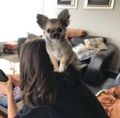 Kiki 