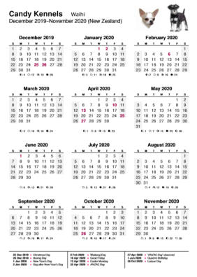 Candy Kennels Calendar