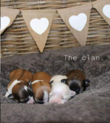 The Clan